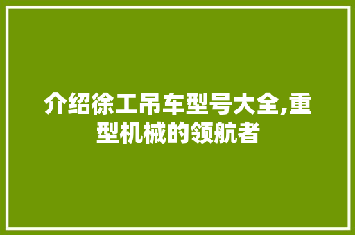 介绍徐工吊车型号大全,重型机械的领航者