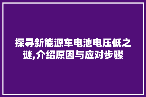 探寻新能源车电池电压低之谜,介绍原因与应对步骤