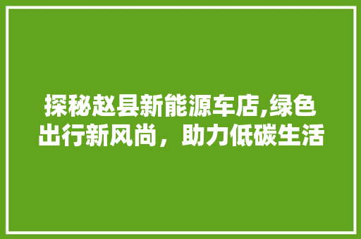 探秘赵县新能源车店,绿色出行新风尚，助力低碳生活 车型评测