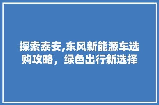 探索泰安,东风新能源车选购攻略，绿色出行新选择