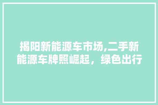 揭阳新能源车市场,二手新能源车牌照崛起，绿色出行新选择