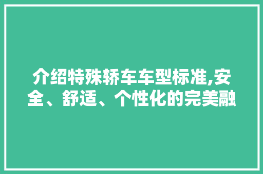 介绍特殊轿车车型标准,安全、舒适、个性化的完美融合