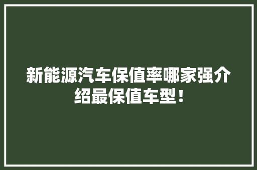 新能源汽车保值率哪家强介绍最保值车型！