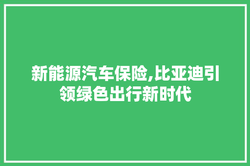 新能源汽车保险,比亚迪引领绿色出行新时代