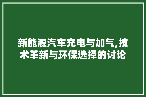 新能源汽车充电与加气,技术革新与环保选择的讨论 智能驾驶