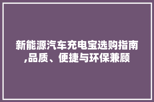 新能源汽车充电宝选购指南,品质、便捷与环保兼顾