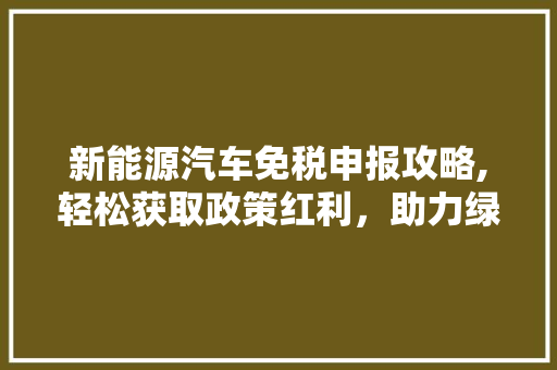 新能源汽车免税申报攻略,轻松获取政策红利，助力绿色出行 混合动力车