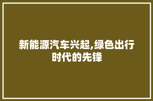 新能源汽车兴起,绿色出行时代的先锋 汽车配件