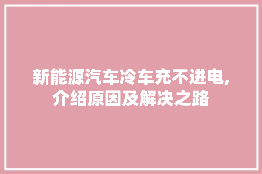 新能源汽车冷车充不进电,介绍原因及解决之路 自动驾驶
