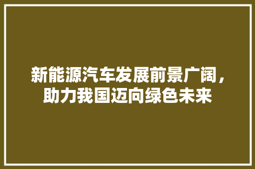 新能源汽车发展前景广阔，助力我国迈向绿色未来
