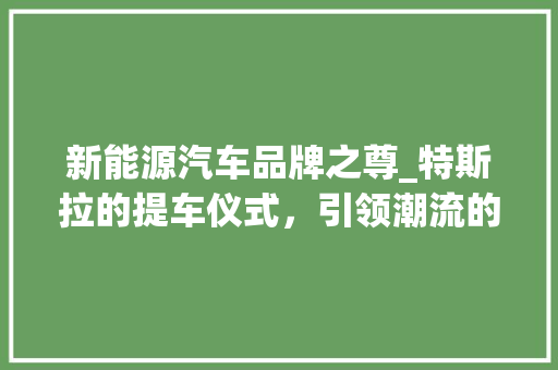 新能源汽车品牌之尊_特斯拉的提车仪式，引领潮流的尊贵体验 汽车保养