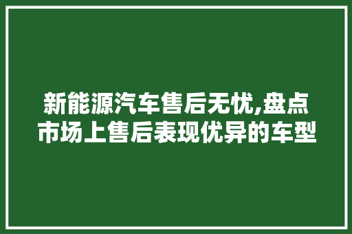 新能源汽车售后无忧,盘点市场上售后表现优异的车型