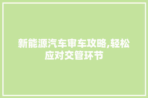 新能源汽车审车攻略,轻松应对交管环节