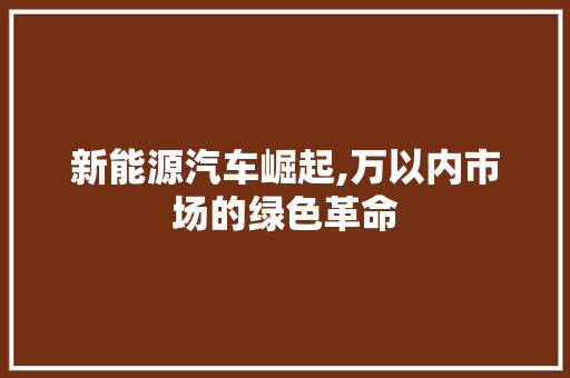 新能源汽车崛起,万以内市场的绿色革命 车载导航