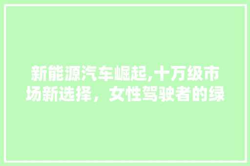 新能源汽车崛起,十万级市场新选择，女性驾驶者的绿色出行新时尚