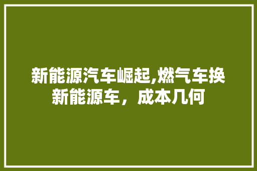 新能源汽车崛起,燃气车换新能源车，成本几何