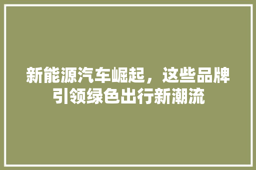 新能源汽车崛起，这些品牌引领绿色出行新潮流 汽车配件