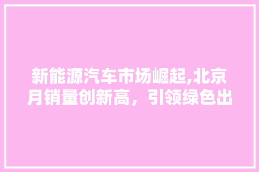 新能源汽车市场崛起,北京月销量创新高，引领绿色出行新风尚