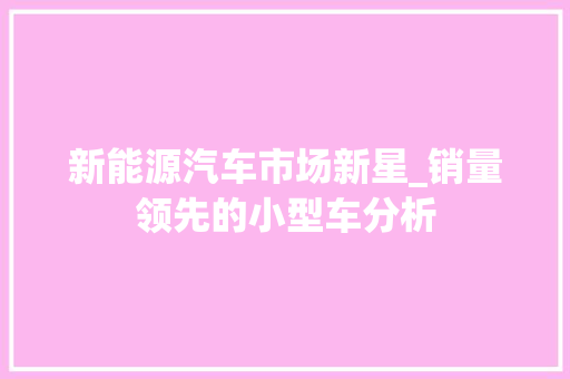 新能源汽车市场新星_销量领先的小型车分析