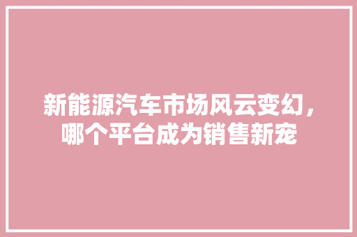新能源汽车市场风云变幻，哪个平台成为销售新宠