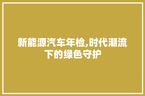 新能源汽车年检,时代潮流下的绿色守护