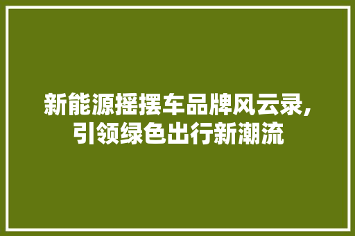 新能源摇摆车品牌风云录,引领绿色出行新潮流 车载导航
