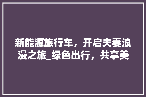 新能源旅行车，开启夫妻浪漫之旅_绿色出行，共享美好时光