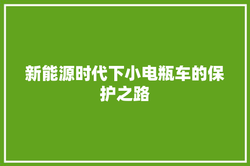 新能源时代下小电瓶车的保护之路