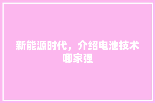 新能源时代，介绍电池技术哪家强