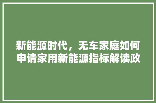 新能源时代，无车家庭如何申请家用新能源指标解读政策，拥抱绿色出行