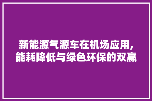 新能源气源车在机场应用,能耗降低与绿色环保的双赢之路