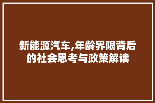 新能源汽车,年龄界限背后的社会思考与政策解读