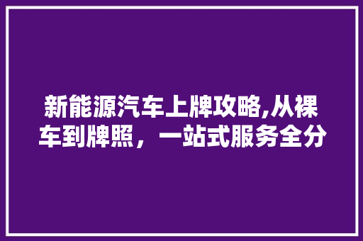 新能源汽车上牌攻略,从裸车到牌照，一站式服务全分析