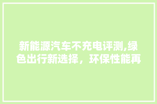 新能源汽车不充电评测,绿色出行新选择，环保性能再升级