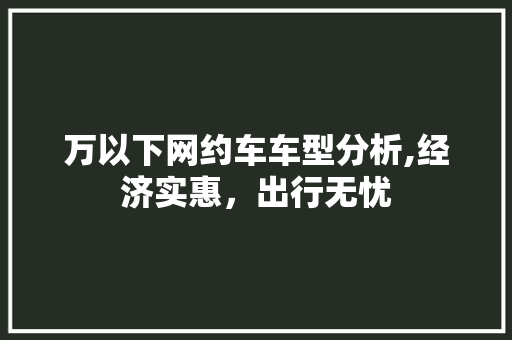 万以下网约车车型分析,经济实惠，出行无忧