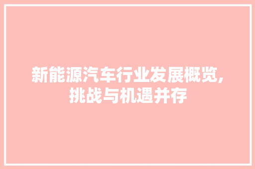 新能源汽车行业发展概览,挑战与机遇并存