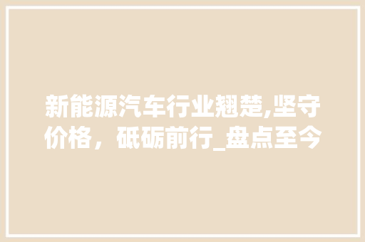 新能源汽车行业翘楚,坚守价格，砥砺前行_盘点至今未涨价的新能源车企