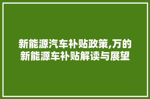 新能源汽车补贴政策,万的新能源车补贴解读与展望