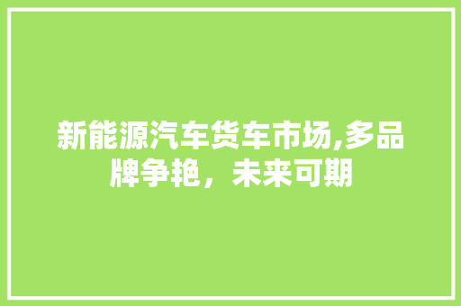 新能源汽车货车市场,多品牌争艳，未来可期