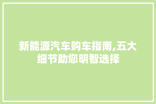 新能源汽车购车指南,五大细节助您明智选择