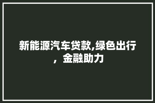 新能源汽车贷款,绿色出行，金融助力