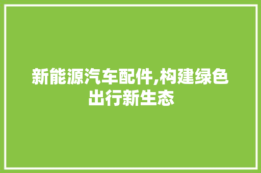 新能源汽车配件,构建绿色出行新生态
