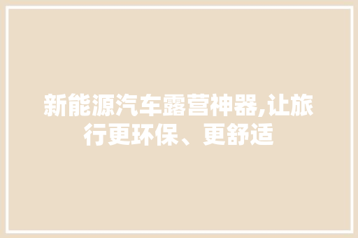 新能源汽车露营神器,让旅行更环保、更舒适 车型评测