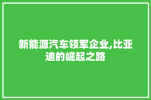 新能源汽车领军企业,比亚迪的崛起之路