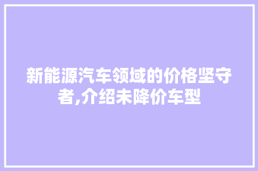 新能源汽车领域的价格坚守者,介绍未降价车型