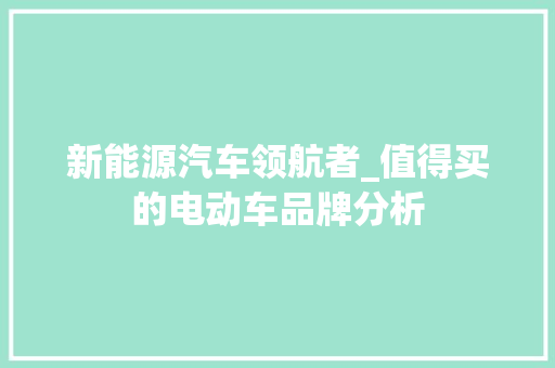 新能源汽车领航者_值得买的电动车品牌分析