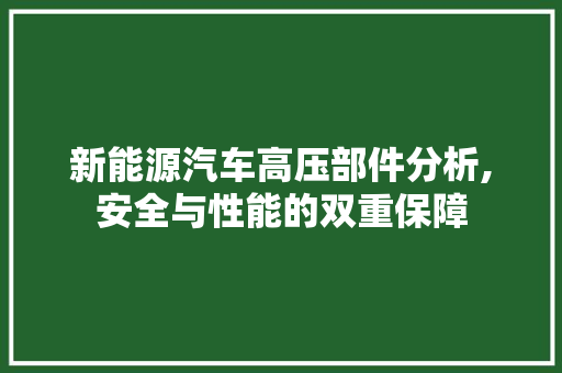 新能源汽车高压部件分析,安全与性能的双重保障