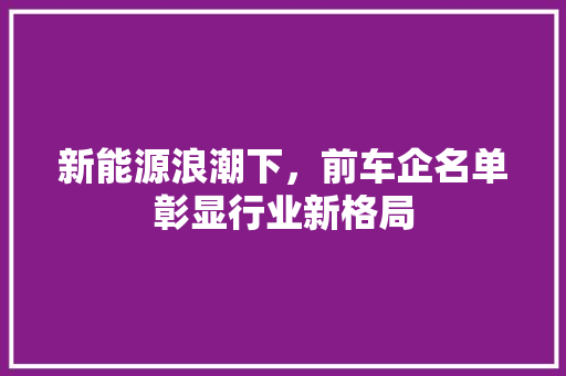 新能源浪潮下，前车企名单彰显行业新格局 车载导航
