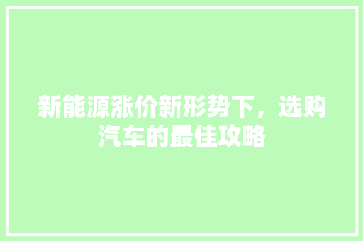 新能源涨价新形势下，选购汽车的最佳攻略