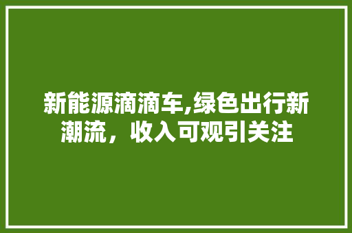 新能源滴滴车,绿色出行新潮流，收入可观引关注 智能驾驶